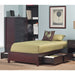 Modus Simple Wood Storage Bed in Espresso Image 1