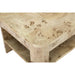 Modus Furniture Cosmo Mappa Burl End Table in Amber Kiss 655450461194 SJWD22 Image 4